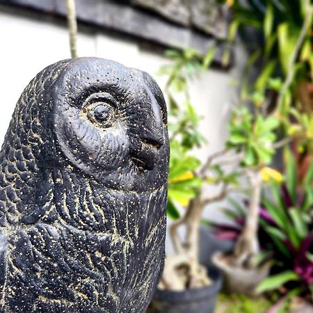 Panda Lumbung Panzió Sanur Kültér fotó