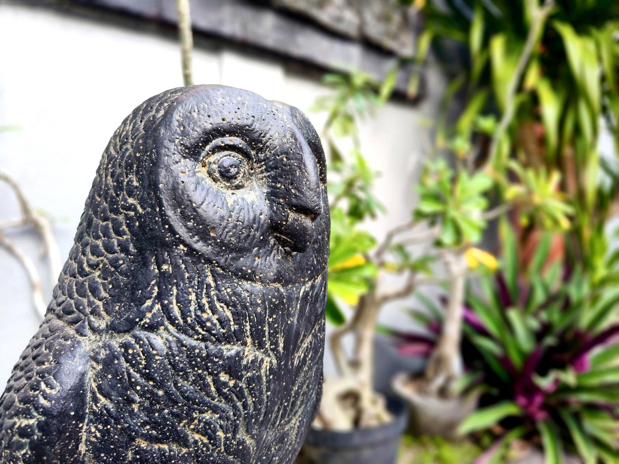 Panda Lumbung Panzió Sanur Kültér fotó