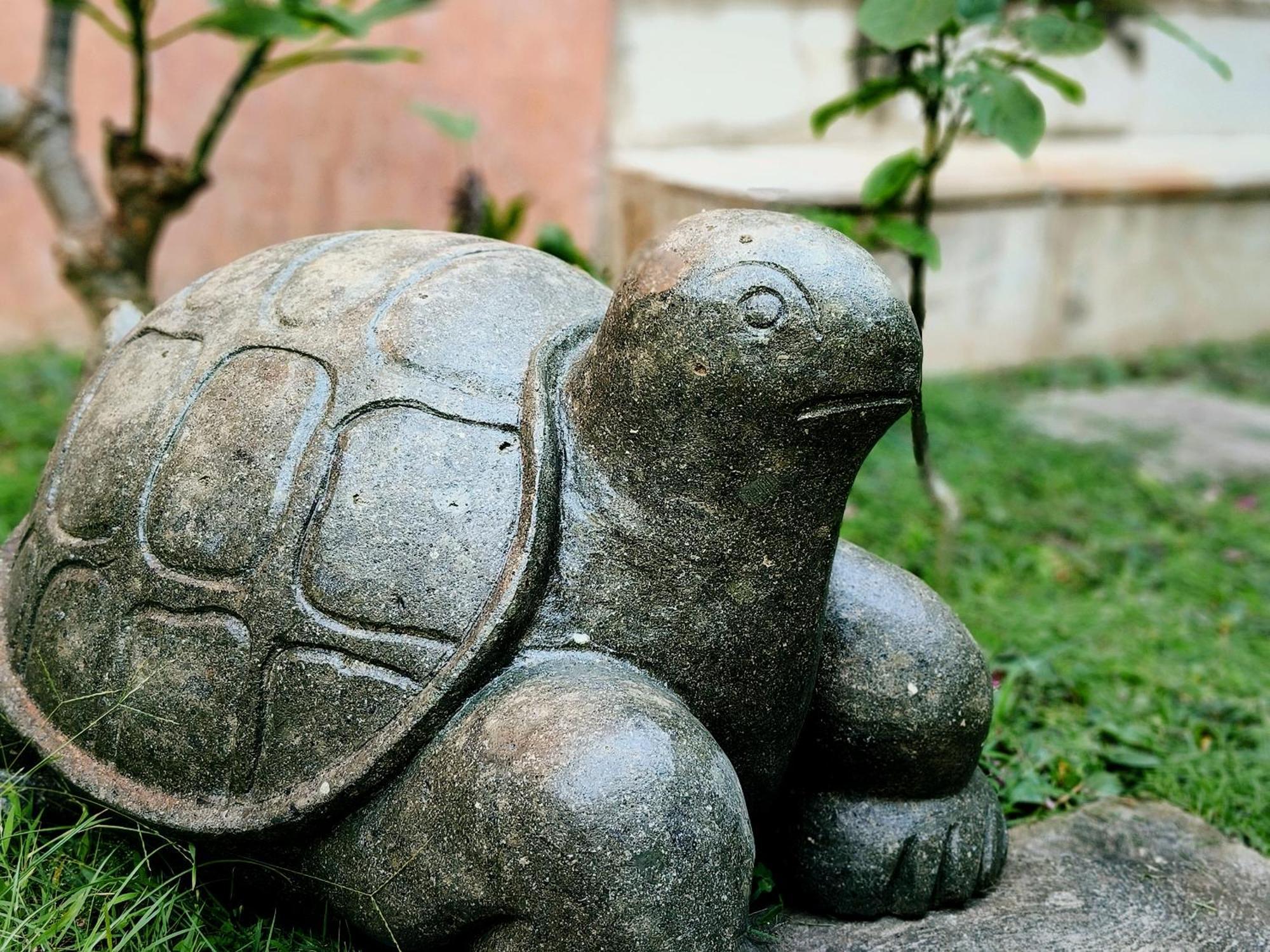Panda Lumbung Panzió Sanur Kültér fotó