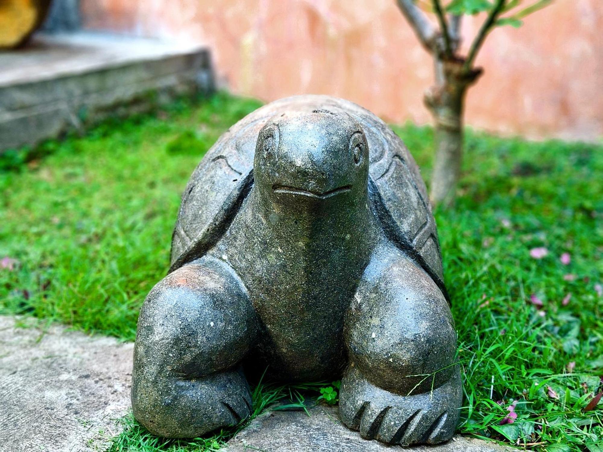Panda Lumbung Panzió Sanur Kültér fotó